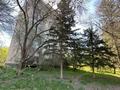 3-бөлмелі пәтер · 62 м² · 6/9 қабат, Потанина 39, бағасы: 26 млн ₸ в Усть-Каменогорске — фото 37