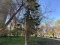 3-бөлмелі пәтер · 62 м² · 6/9 қабат, Потанина 39, бағасы: 26 млн ₸ в Усть-Каменогорске — фото 41