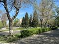 3-бөлмелі пәтер · 62 м² · 6/9 қабат, Потанина 39, бағасы: 26 млн ₸ в Усть-Каменогорске — фото 45