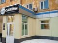 Свободное назначение • 40 м² за 18.5 млн 〒 в Павлодаре — фото 19