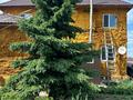 Отдельный дом · 5 комнат · 169 м² · 5 сот., Дубынина 17 за 27 млн ₸ в Петропавловске