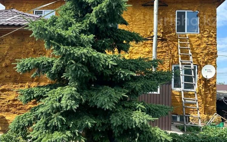 Отдельный дом · 5 комнат · 169 м² · 5 сот., Дубынина 17 за 27 млн ₸ в Петропавловске — фото 2