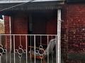 Саяжай · 3 бөлме · 45 м² · 9 жүзд., Кленок 2 55 — За Аэропортом, бағасы: 1.9 млн ₸ в Усть-Каменогорске — фото 4