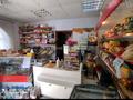 Отдельный дом · 9 комнат · 250 м² · , Даулеткерея 27 за 87 млн ₸ в Уральске — фото 11