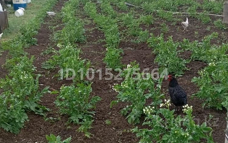 Жеке үй · 4 бөлме · 90 м² · 10 жүзд., Кулагер 31, бағасы: 19 млн ₸ в Астане, р-н Байконур — фото 2