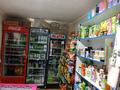 Магазины и бутики • 46 м² за 14.5 млн 〒 в Таразе — фото 5
