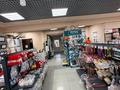 Дүкендер мен бутиктер, қоймалар · 257 м², бағасы: 150 млн ₸ в Павлодаре — фото 10