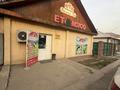 Еркін · 140 м², бағасы: 85 млн ₸ в Каскелене