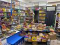 Магазины и бутики • 265 м² за 85 млн 〒 в Таразе — фото 3