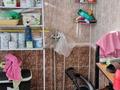 Отдельный дом · 5 комнат · 216 м² · 35 сот., Сейфуллин 11 — Кафе Алтын Шаңырақ, Садик Ердаулет за 32 млн ₸ в Шаульдер — фото 9