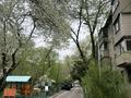 2-бөлмелі пәтер · 44.3 м² · 1/4 қабат, мкр №11 21 — Школа 13, бағасы: 29.5 млн ₸ в Алматы, Ауэзовский р-н — фото 18