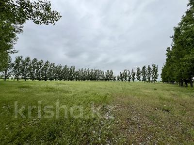 Ауыл шаруашылығы • 2500 м², бағасы: 1.5 млн 〒 в Уштереке