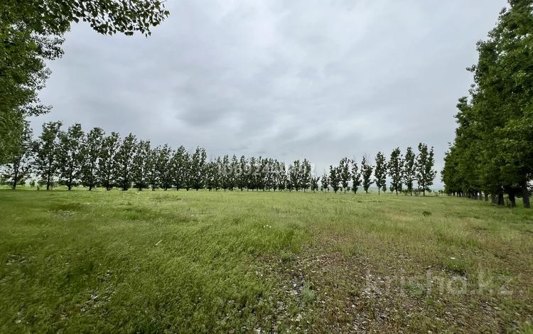 Сельское хозяйство • 2500 м² за 1.5 млн 〒 в Уштереке — фото 7