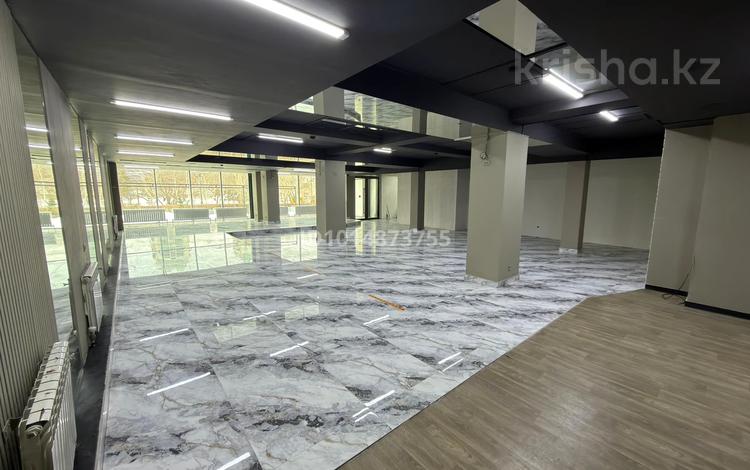 Еркін, қоғамдық тамақтану орны · 400 м², бағасы: 4 млн ₸ в Астане, Сарыарка р-н — фото 2