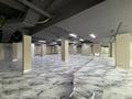 Еркін, қоғамдық тамақтану орны · 400 м², бағасы: 4 млн ₸ в Астане, Сарыарка р-н — фото 11