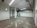 Еркін, қоғамдық тамақтану орны · 400 м², бағасы: 4 млн ₸ в Астане, Сарыарка р-н — фото 12