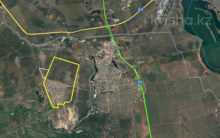 Участок · 39 га, Тайтобе за 200 млн 〒 — фото 7