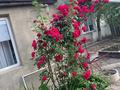 Жеке үй · 3 бөлме · 74.3 м² · 3 жүзд., Матеш Дюсенгали — Кулманова Жарбосынова, бағасы: ~ 17 млн ₸ в Атырау — фото 12
