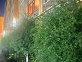 1-бөлмелі пәтер · 47.4 м² · 1/9 қабат, Назарбаева, бағасы: 24.5 млн ₸ в Костанае — фото 16