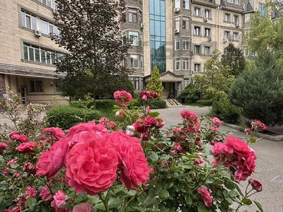 3-бөлмелі пәтер · 114 м² · 6/6 қабат, Есенберлина 155, бағасы: 90 млн ₸ в Алматы, Медеуский р-н