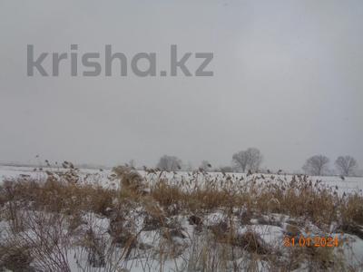 Участок · 20 га, Алматинская область, Карасайский район, Раимбекский с/о, с.Райымбек за 395.9 млн 〒 в Каскелене