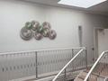 5-бөлмелі пәтер · 350 м² · 2/2 қабат, Ходжанова, бағасы: 2 млн ₸ в Алматы, Бостандыкский р-н — фото 27