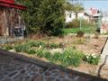 Саяжай · 3 бөлме · 45.6 м² · 14 жүзд., Восточник-Загородный, ул. Пихтовая 354, бағасы: 10.5 млн ₸ в Тарханка — фото 13
