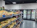 Свободное назначение, магазины и бутики, общепит · 225 м² за 195 млн ₸ в Астане — фото 3