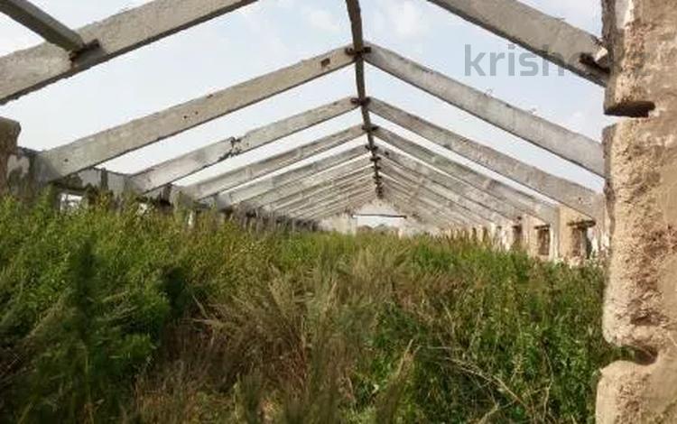 Өнеркәсіптік база · 9.18 сотық, С.Лесное, бағасы: 500 000 ₸ в Костанайской обл. — фото 2
