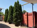 Жеке үй · 4 бөлме · 150 м² · 8 жүзд., Астана 21 — Уркен, бағасы: 40 млн ₸ в Караой — фото 20
