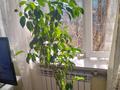 2-комнатная квартира · 50 м² · 2/2 этаж, Монтажная 19 за 25.5 млн ₸ в Алматы, Турксибский р-н — фото 57