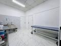 Медцентры и аптеки · 115 м² за 145 млн ₸ в Астане, Есильский р-н — фото 10