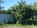 Участок · 6 соток, Вишнёвая 247 — По красно ярской трассе за 5 млн ₸ в Кокшетау