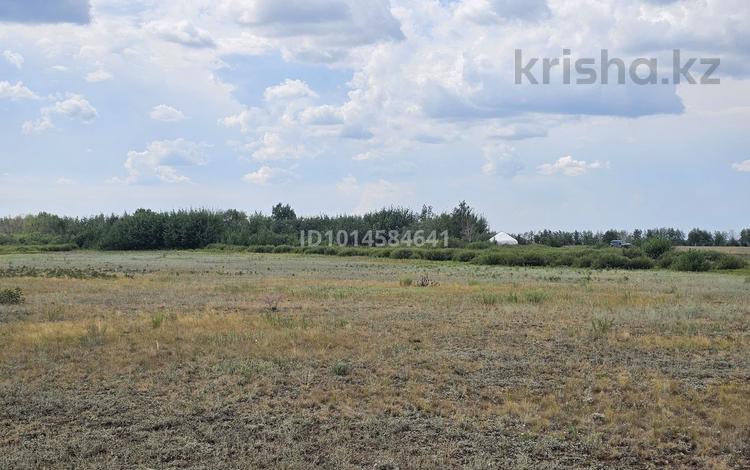 Участок · 15 га, Мамбетова 16 за 110 млн ₸ в Астане — фото 2