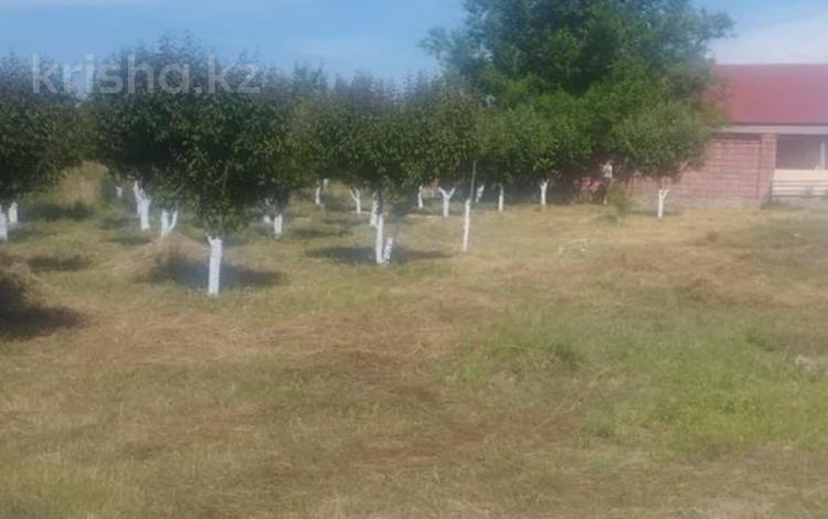 Отдельный дом · 5 комнат · 120 м² · 440 сот., Байзакова за 500 000 ₸ в Байсерке — фото 9