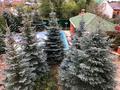 Отдельный дом · 8 комнат · 530 м² · 16 сот., Садоводческий коллектив Колос-2 — Кирпичный Актобе за 65 млн ₸ в жилой массив Кирпичный — фото 4