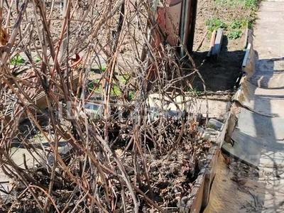 Дача · 1 комната · 10 м² · 5.5 сот., Ореховая ул. 97 за 500 000 ₸ в Павлодарской обл.