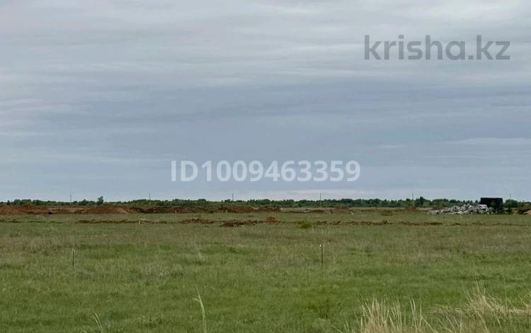 Участок · 10.8 соток, 1 микрорайон за 2.5 млн ₸ в  — фото 8