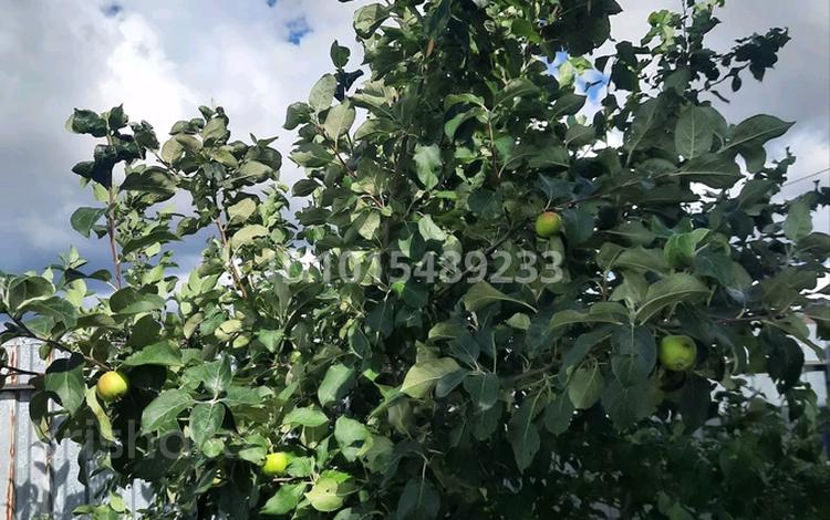 Жеке үй · 5 бөлме · 140 м² · 12 жүзд., Островский 53/3 — Сейфуллина 118/Островский 53/3, бағасы: 33 млн ₸ в Красном яре — фото 6