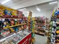 Дүкендер мен бутиктер · 38 м², бағасы: 250 000 ₸ в Астане, Есильский р-н — фото 3