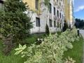 2-бөлмелі пәтер · 43.66 м² · 6/12 қабат, Райымбек 351/1 — Райымбек көшесі Тлендиева қыйлысы, бағасы: 43.5 млн ₸ в Алматы, Алатауский р-н — фото 3