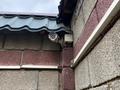 Отдельный дом · 5 комнат · 300 м² · 10 сот., мкр Мирас, Сакели 40 а — Бакконган за 64 млн ₸ в Шымкенте, Каратауский р-н — фото 4