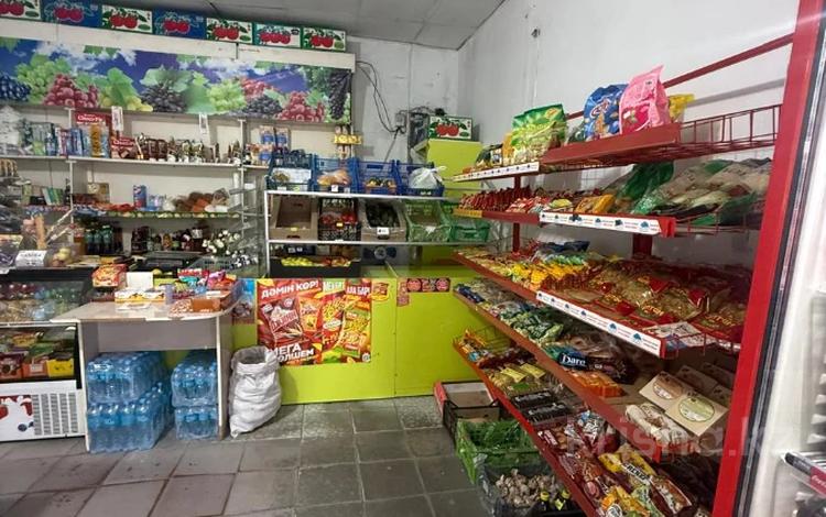Магазины и бутики, медцентры и аптеки · 40 м² за 200 000 ₸ в Талдыкоргане — фото 3