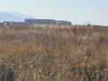 Участок · 5 соток, Саржайлау — Саржайлау за 10 млн ₸ в Каскелене — фото 2