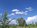 Участок · 3 га, Па сёл Кайрат 55 — Малаводный Акши од Алма Ата 65км за 35 млн ₸ в Акши (Енбекшиказахском районе) — фото 51