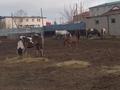 Жеке үй · 5 бөлме · 140 м² · 4000 жүзд., Казыбек Би 46, бағасы: 45 млн ₸ в Ботакаре — фото 30