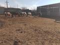 Жеке үй · 5 бөлме · 140 м² · 4000 жүзд., Казыбек Би 46, бағасы: 45 млн ₸ в Ботакаре — фото 35