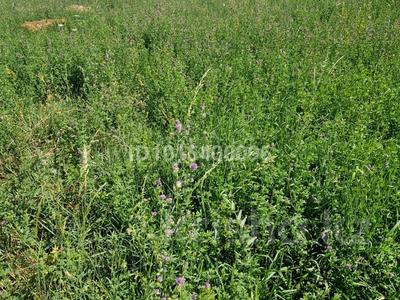 Участок · 1.3 га, Арыс 9 — Параллельно улицы Калдаякова город Талгар за 80 млн ₸ в Алматинской обл., Талгарский р-н