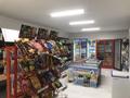 Магазины и бутики • 140 м² за 35 млн 〒 в Астане, Сарыарка р-н — фото 10