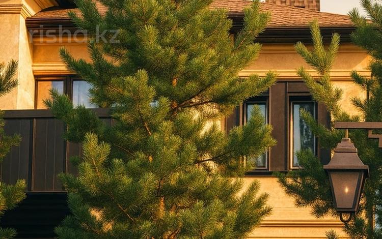 Отдельный дом · 7 комнат · 600 м² · 12 сот., Шалкыма — Bi Village Deluxe 3 за ~ 1.5 млрд 〒 в Астане, Есильский р-н — фото 3